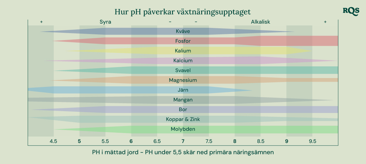 Stångdiagram som visar hur jordens pH (från 4,5 till 9,5) påverkar tillgången på näringsämnen som kväve, fosfor, kalium, kalcium, svavel, magnesium, järn, mangan, bor, koppar, zink och molybden.