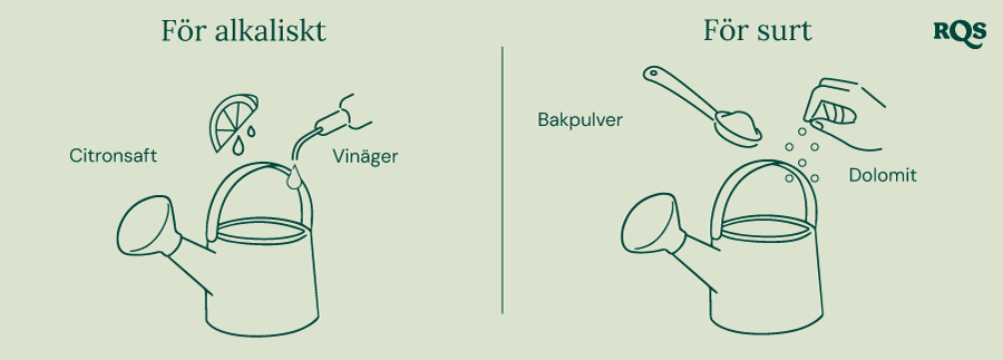 Guide för att justera pH i jorden: citron och vinäger för att höja pH ('För alkalisk'), bakpulver och dolomit för att sänka pH ('För sur'). 