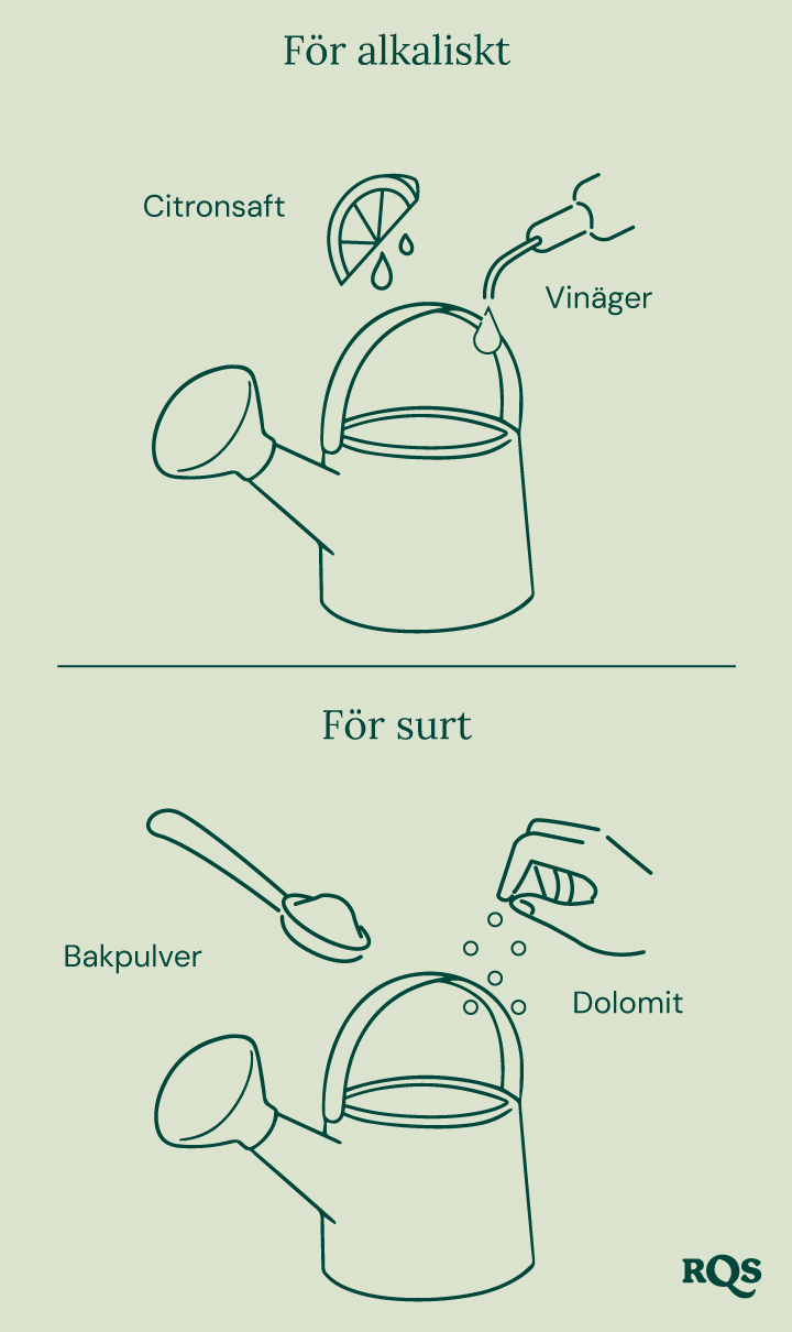 Guide för att justera pH i jorden: citron och vinäger för att höja pH ('För alkalisk'), bakpulver och dolomit för att sänka pH ('För sur'). 