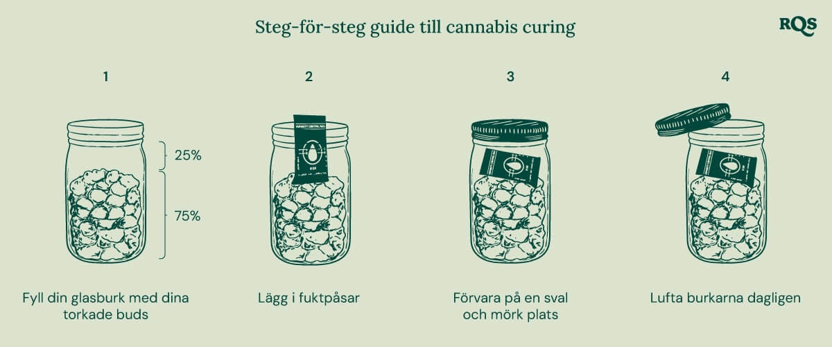 Fyra steg för att härda cannabis korrekt. 1: Fyll burken med torkade knoppar (75%). 2: Lägg till fuktpaket för att reglera fuktighet. 3: Förvara burken på en sval och mörk plats. 4: Öppna burken dagligen för luftning.