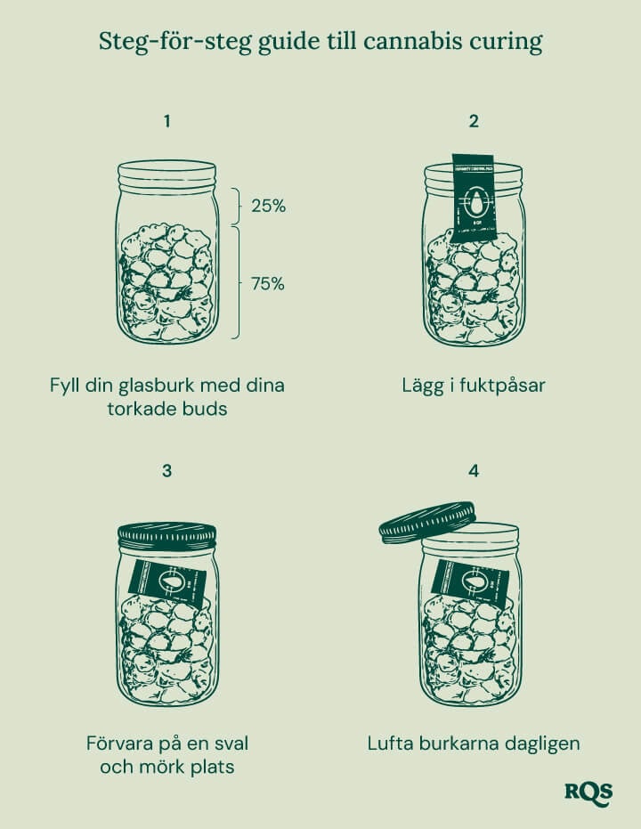 Fyra steg för att härda cannabis korrekt. 1: Fyll burken med torkade knoppar (75%). 2: Lägg till fuktpaket för att reglera fuktighet. 3: Förvara burken på en sval och mörk plats. 4: Öppna burken dagligen för luftning.