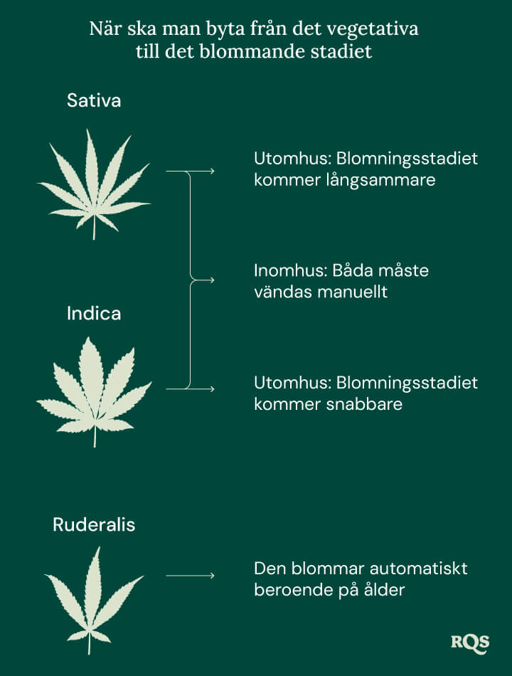 Switch ve to flowering