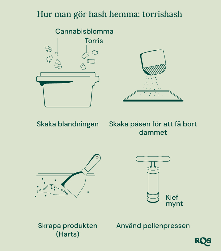 Illustration of biointensive gardening, showing maximum productivity, healthier plants, potent buds, companion planting, deep soil cultivation, and improved soil quality.