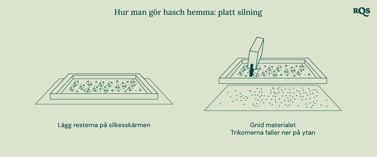 Illustration of biointensive gardening, showing maximum productivity, healthier plants, potent buds, companion planting, deep soil cultivation, and improved soil quality.