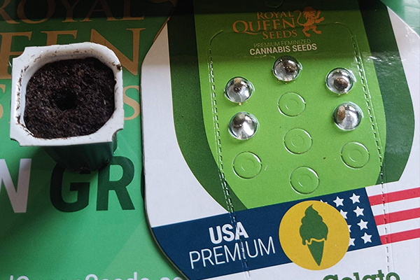 Easy Start Easy Start